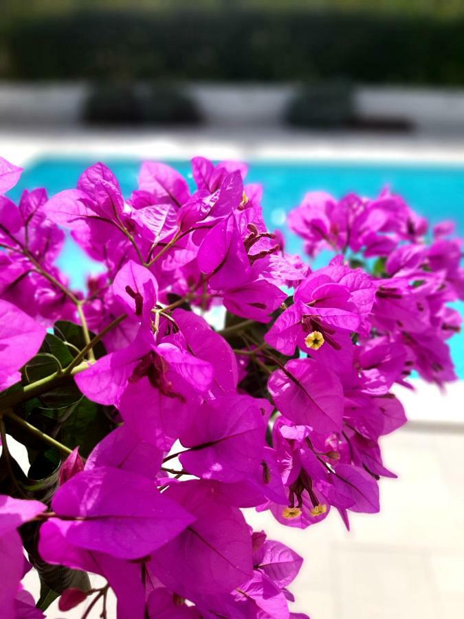 Holiday Home Villa Emma Debeljak Kültér fotó